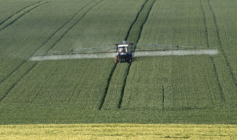 A propos des pesticides ?