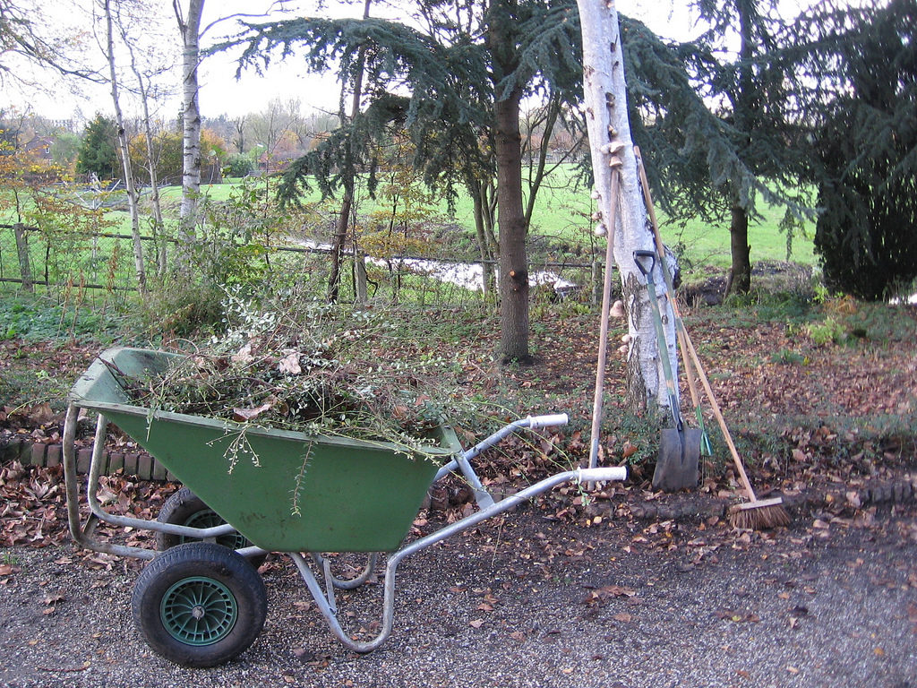 Préparer son jardin en Février