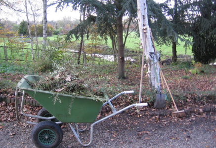Préparer son jardin en Février