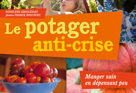 Le potager anti-crise, -manger sain en dépensant peu-