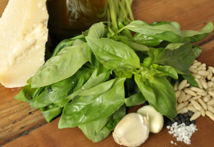 Le Pesto frais