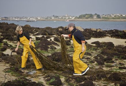 Aux bons plaisirs des algues alimentaires