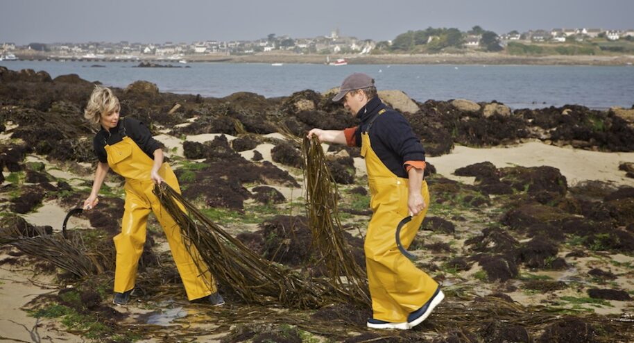 Aux bons plaisirs des algues alimentaires