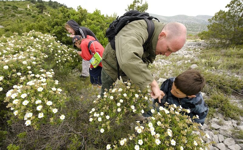 Cinq jours pour fêter Dame Nature