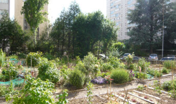 Le jardin partagé des Périchaux