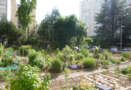 Le jardin partagé des Périchaux