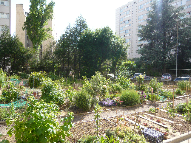 Le jardin partagé des Périchaux