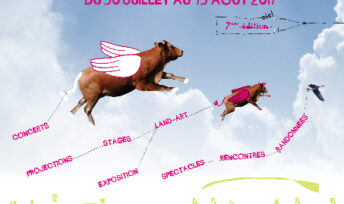 Festival des Bouchures