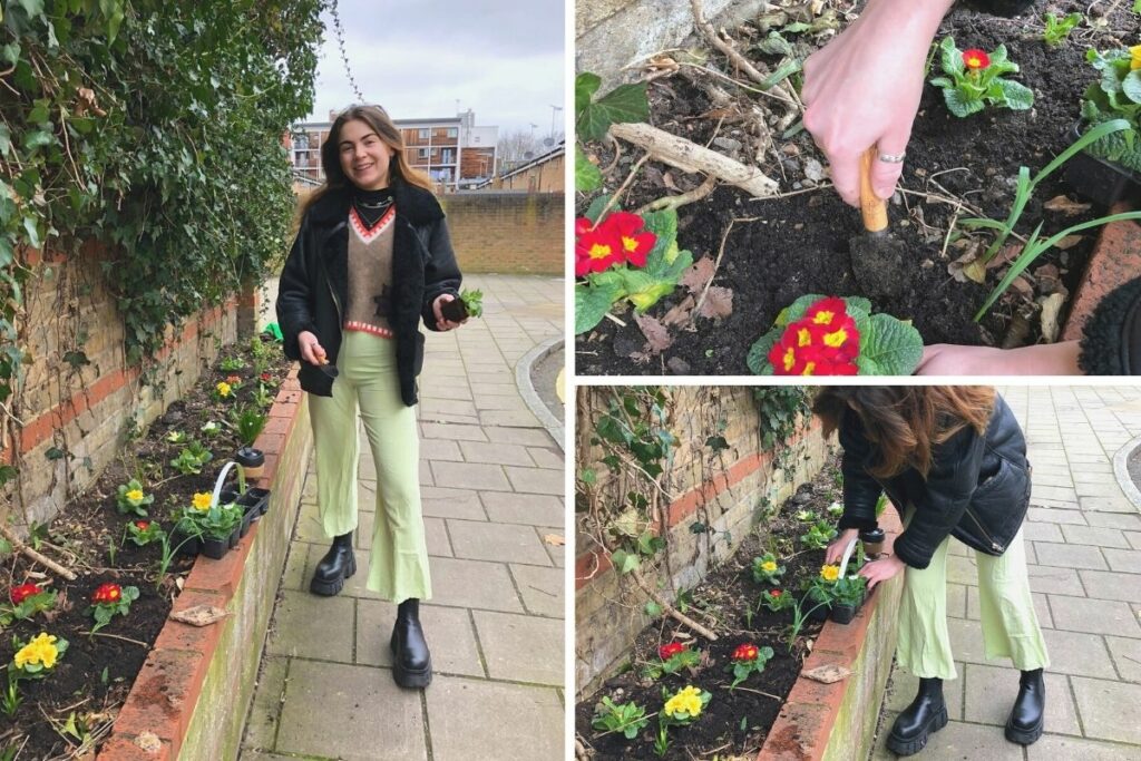 guerilla gardening. Crédit : Ellen Miles/Twitter