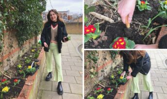 guerilla gardening. Crédit : Ellen Miles/Twitter