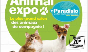 Animal expo