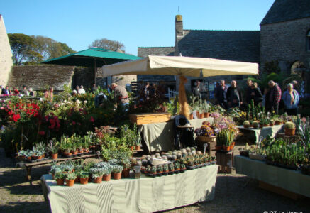 Plantes et saveurs d’automne