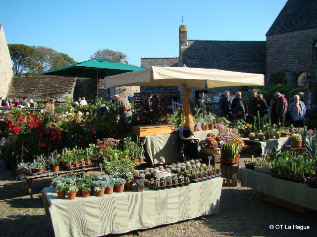 Plantes et saveurs d’automne