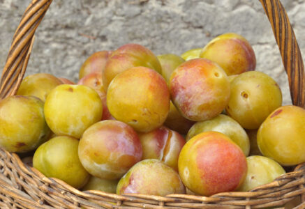 Confiture de reines-claudes