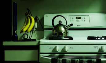 Panique écologique en cuisine