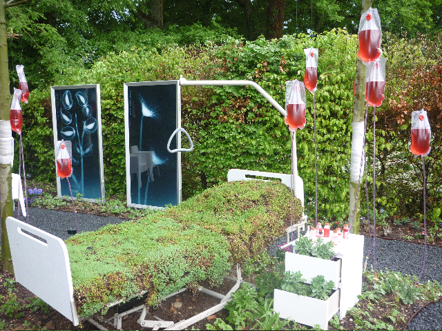 Les jardins thérapeutiques