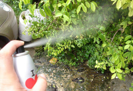 Quelques solutions naturelles contre les odeurs de transpiration