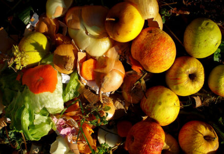 Composter ses déchets en ville? C’est possible!