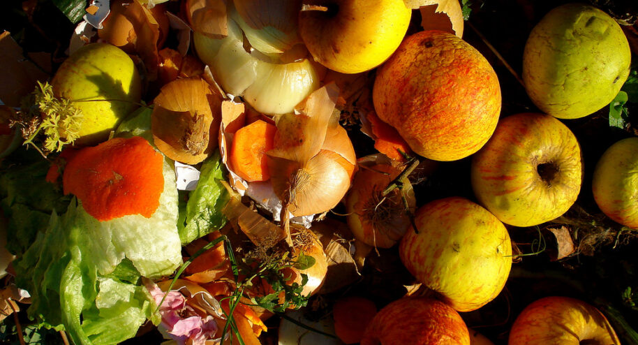 Composter ses déchets en ville? C'est possible!