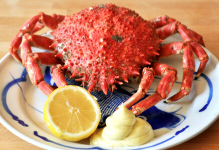 Araignée de mer