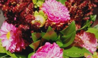 Le dahlia, vedette des bouquets d'automne