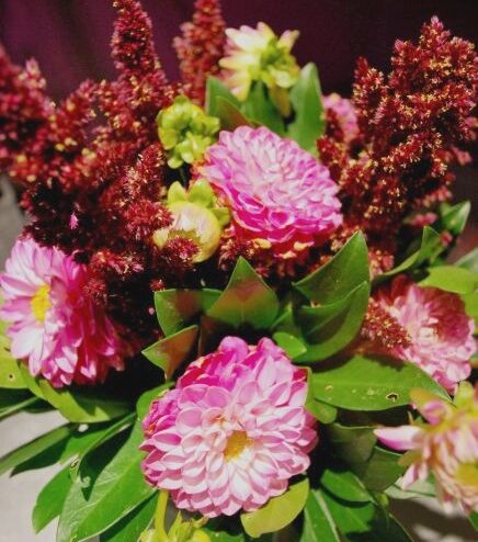 Le dahlia, vedette des bouquets d'automne