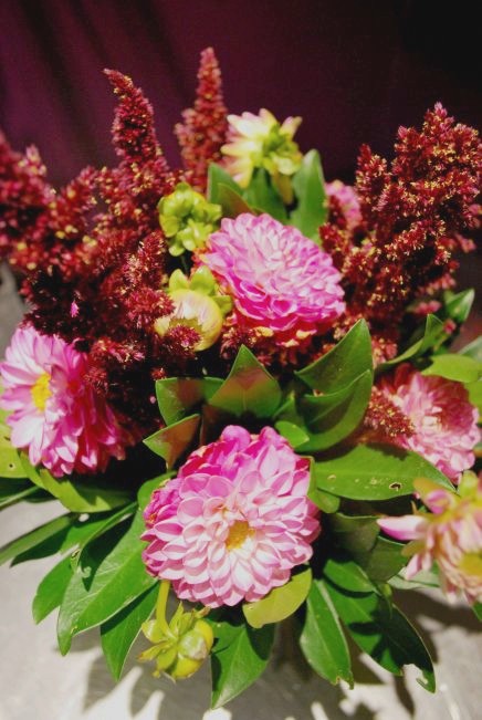 Le dahlia, vedette des bouquets d'automne