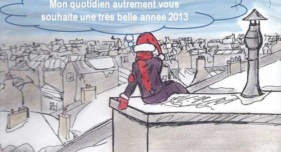 Bonne année 2013