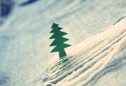Un sapin de Noël au naturel