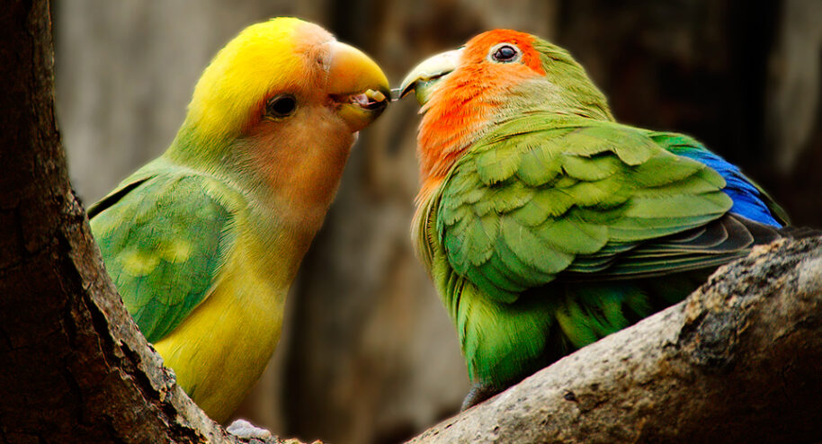 "Ce n'est pas parce que les couples durent moins longtemps qu'ils sont plus malheureux"