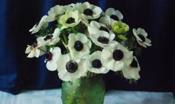 Bouquet de printemps