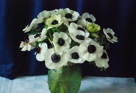 Bouquet de printemps