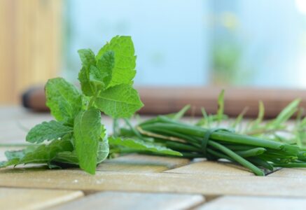 Connaissez-vous les fines herbes?