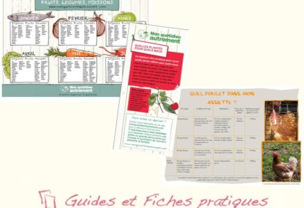Guides et fiches pratiques de l’été