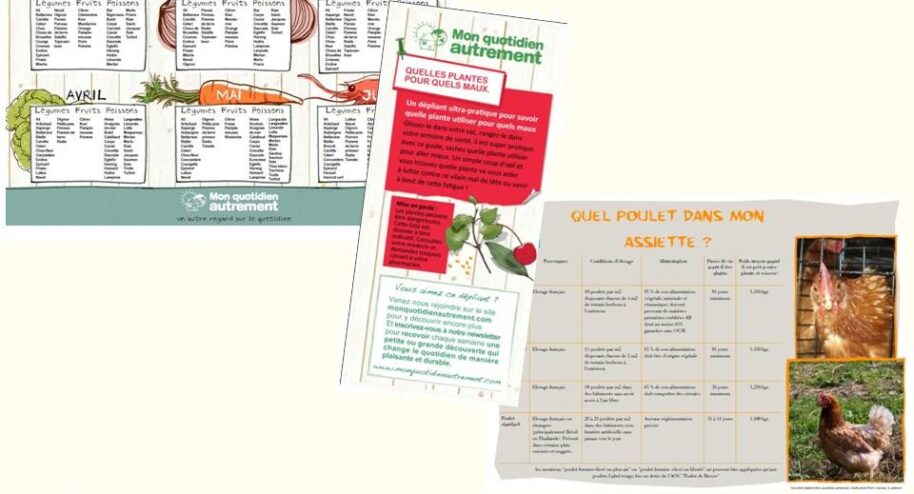 Guides et fiches pratiques de l'été.