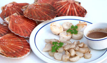 Saint-Jacques, topinambours et sauce aux noisettes
