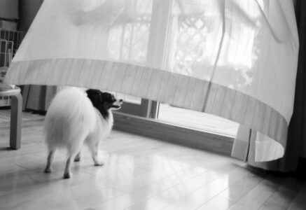 De l’air ! Savoir aérer sa maison.