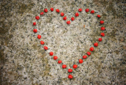 L'interne au coeur tendre