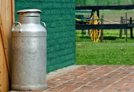 Sommes-nous vraiment intolérants au lait?
