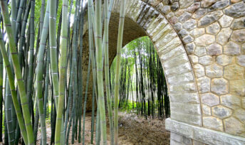 Les Rendez-vous au jardin, à la Bambouseraie d'Anduze