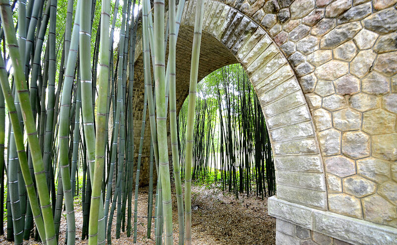 Les Rendez-vous au jardin, à la Bambouseraie d'Anduze