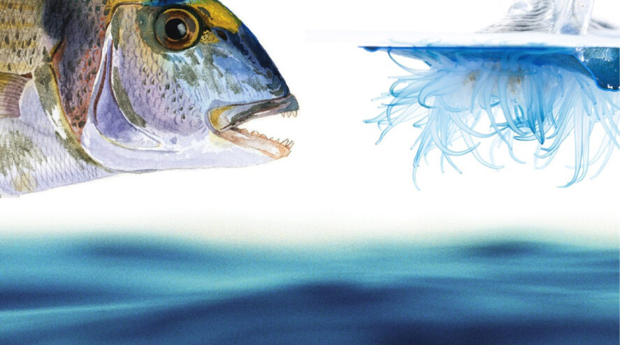Les yeux de la Mer