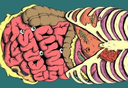 Le ventre, notre deuxième cerveau