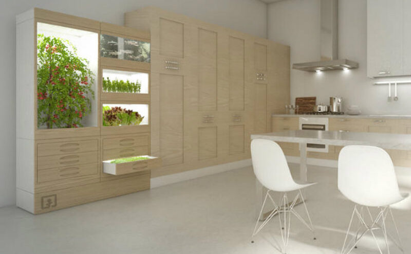 La cuisine du futur : un potager à domicile