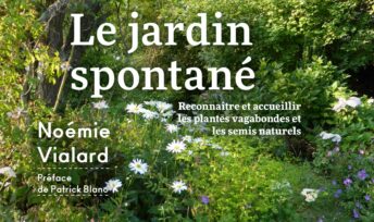 "Le jardin spontané" de Noémie Vialard