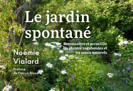 « Le jardin spontané » de Noémie Vialard