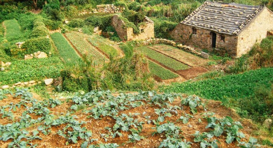 Agriculture alternative : pour des cultures qui ont la pêche !