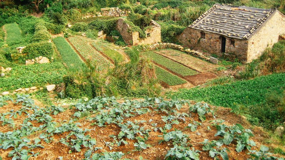 Agriculture alternative : pour des cultures qui ont la pêche !