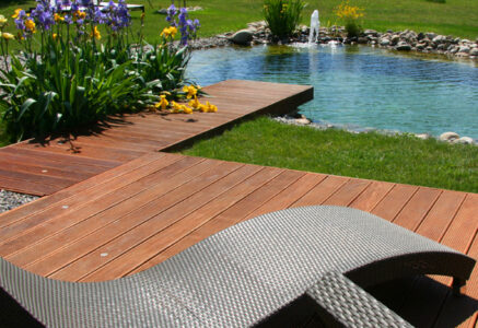 Piscine écologique : une piscine 100% naturelle dans votre jardin