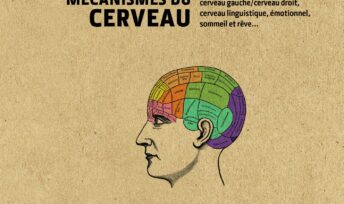 3 minutes pour comprendre les 50 plus grands mécanismes du cerveau, d'Anil Seth